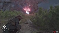 If you locate the Sakura Meadow, then you&rsquo;ll find this animal at night there.