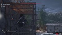 Use the scaffolding to get to the second area of the castle.