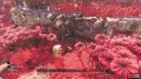 The seventh Lost Gestral can be found just west of Endless Night Sanctuary, to the far east of the map.