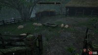 and wait for the poor, innocent sheep to die.