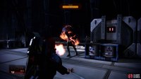 In the first large chamber you come across, you&rsquo;ll encounter a Scion - Incinerate, Reave and Warp all work well to bring it down, as does Incendiary Ammo.