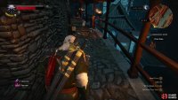 then chase Duke up to and across the city walls, and into the sewers.