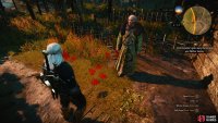 then track Princess into the forest.