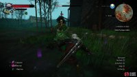 You&rsquo;re probably better off sticking to using Yrden and working on whittling the Pesta&rsquo;s health down.