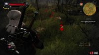 Find some tracks on the edge of the swamp and follow them west,