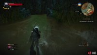 in the river nearby you&rsquo;ll find a submerged cave you can swim into.
