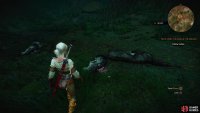 then collect the ingredients you need for some blade oil - the Dog&rsquo;s Tallow and Wolf&rsquo;s Liver can be obtained from the corpses of the Wolves you have to slay,