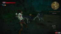 Ciri fights similarly to Geralt, albeit with fewer options - get a knack for combat as Ciri as she fights some Wolves.