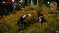 Use Axii to calm Alghouls and make them easier to fight,
