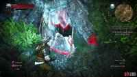 Use Aard to smash your way into a cave,