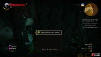 Despite complaining about the stench of Ghouls in the cave, you won&rsquo;t find anything besides mushrooms and corpses within&hellip; and a chest containing the diagram you seek.