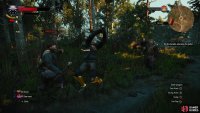 You can use Axii to disperse the goons, give them a cure to their friend&rsquo;s ailment, or solve things with a bit of steel.