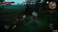 so get in the habit of attacking from a bit of a distance and hoping Geralt closes the gap and lands a hit before Keira escapes.