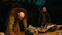 The spirit isn&rsquo;t alone in interrupting the ritual however, as some Witch Hunters will also arrive. If you don&rsquo;t intervene, the quest will end and the Pellar will be quite unhappy with you.