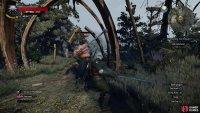 Defeat Hammond in Skellige,