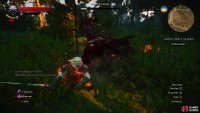 Use Yrden so your silver sword can deal damage to the Nightwraith, and when it splits quickly strike each splinter.