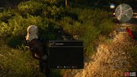 After the fight, search the ground for a Crystal Skull - more signs of Yennefer&rsquo;s passage.