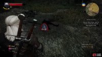 then use your witcher sense to search for some Temerian shields.