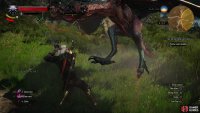 and if you&rsquo;re unlucky, a Wyvern.