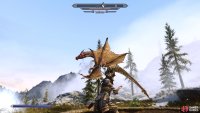 You can focus on using ranged magic or your bow when the dragon is flying through the air.